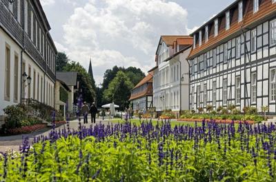 Fachwerkgebäude mit Blume im Gräflichen Park bad Driburg_Kultur Kreis Höxter